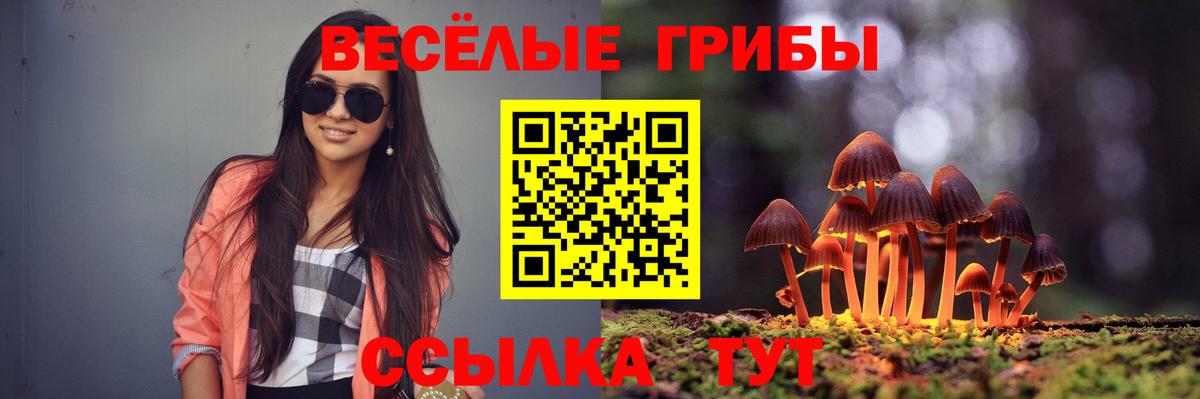 Псилоцибиновые грибы Cubensis  Галлюциногенные грибы Magic Shrooms  Татарск  Вход с VPN 